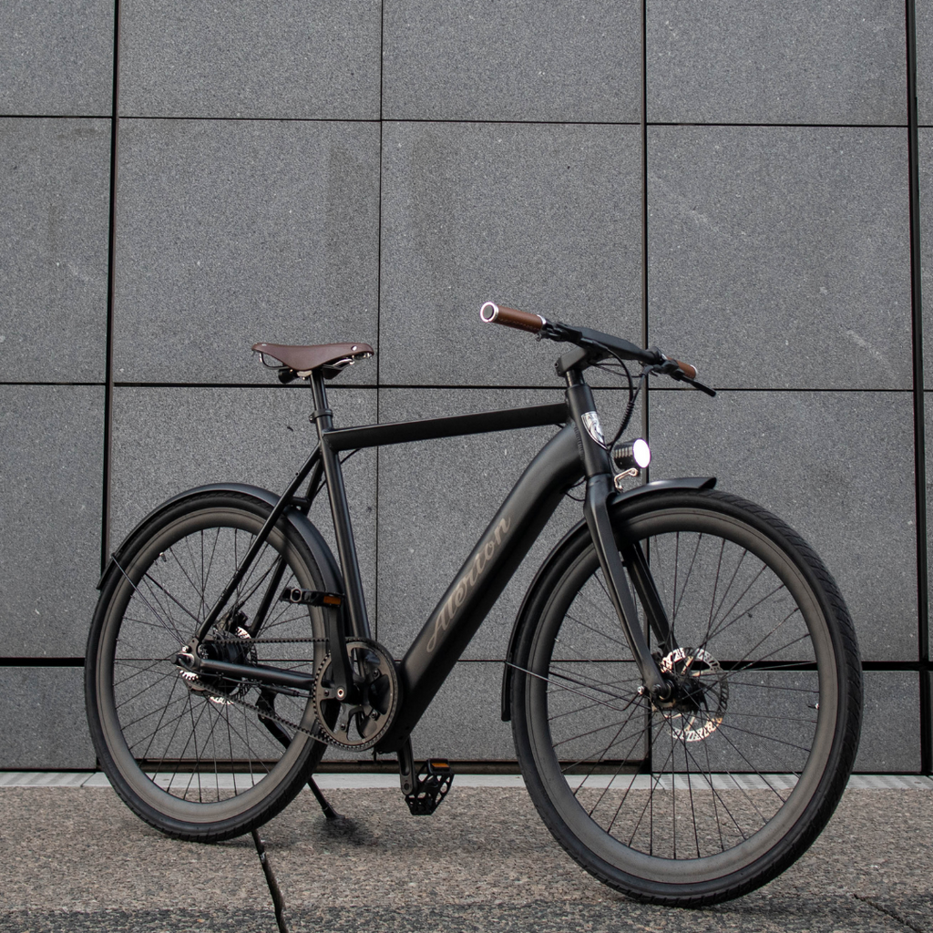 Le a. de Alerion AlerionCycles